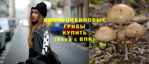 круглые Абаза